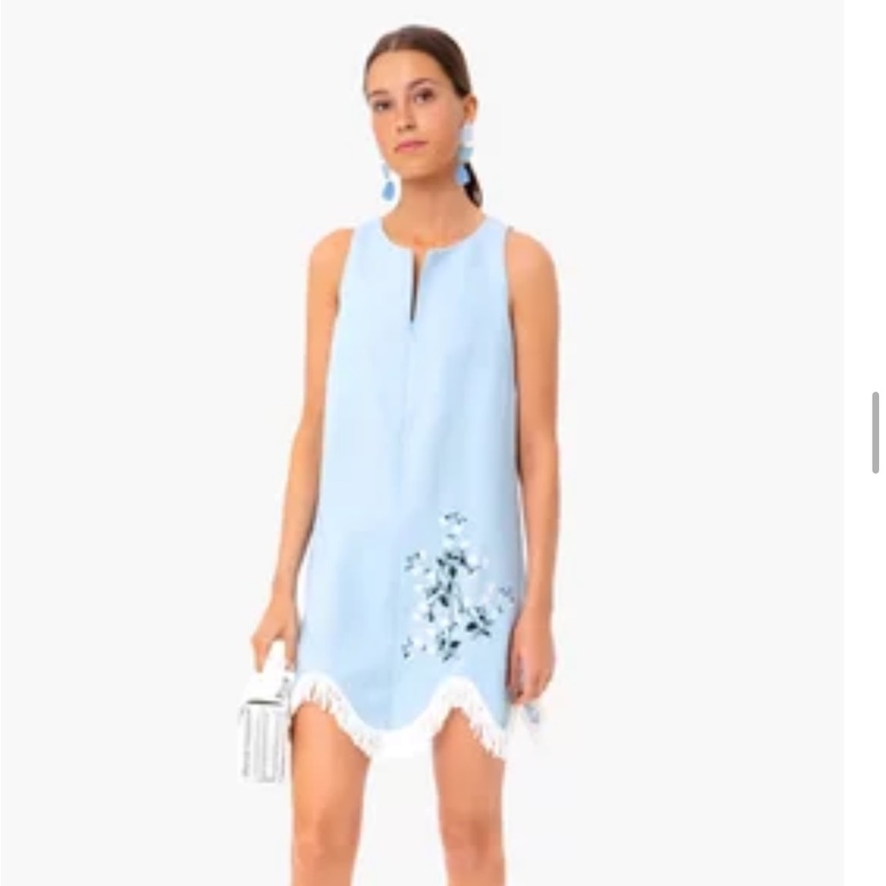 Tuckernuck River Dress in light blue
